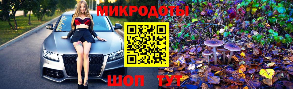 Псилоцибиновые грибы мицелий  Вход с VPN  Пушкино  Галлюциногенные грибы MAGIC MUSHROOMS 